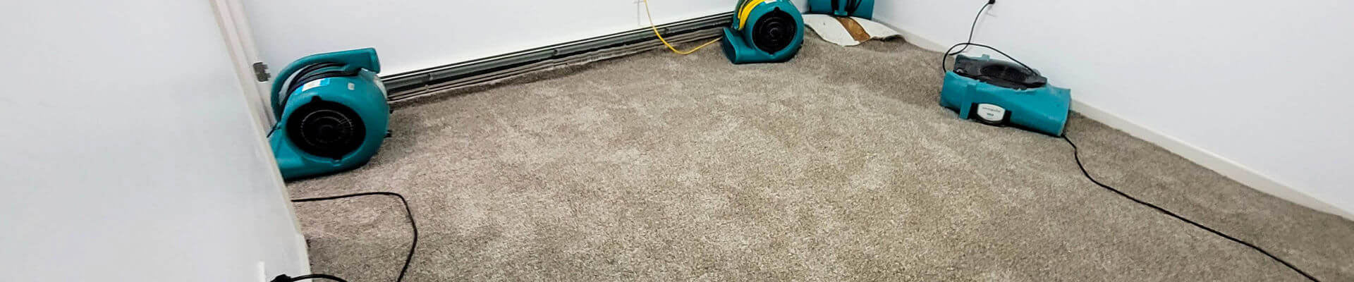Banner of carpet and floor cleaning