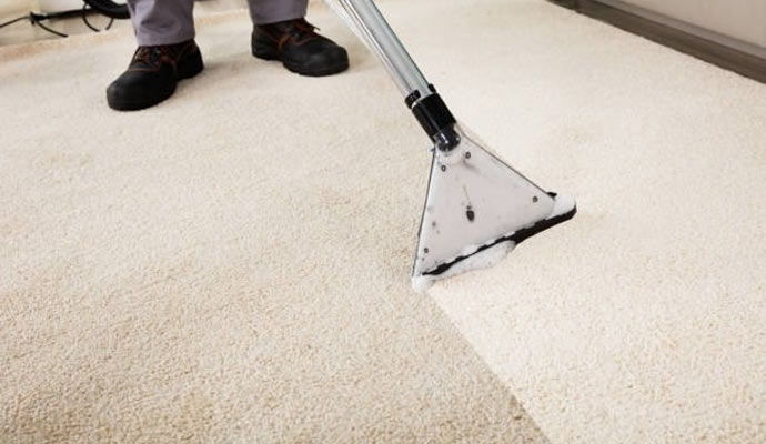 Professional worker cleaning carpet