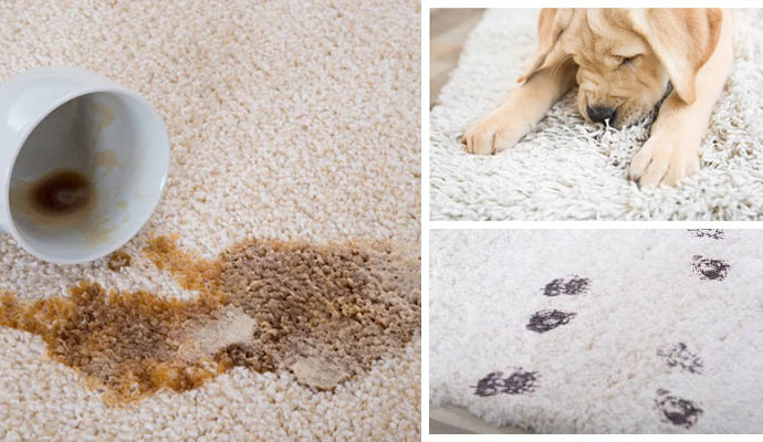 Tea stain on the carpet, pet chewing carpet