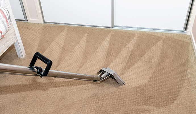 Professional worker cleaning carpet
