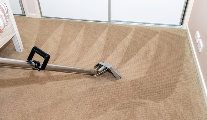 Professional cleaning carpet with tools
