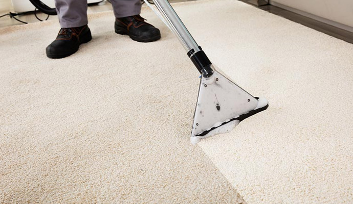 Professional cleaning carpet