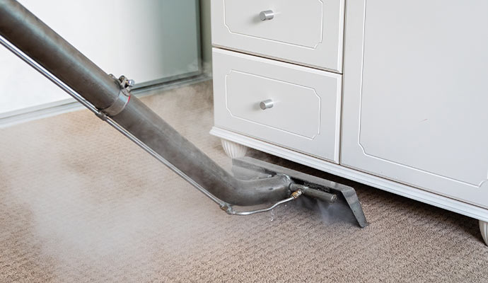 Carpet steam cleaning service
