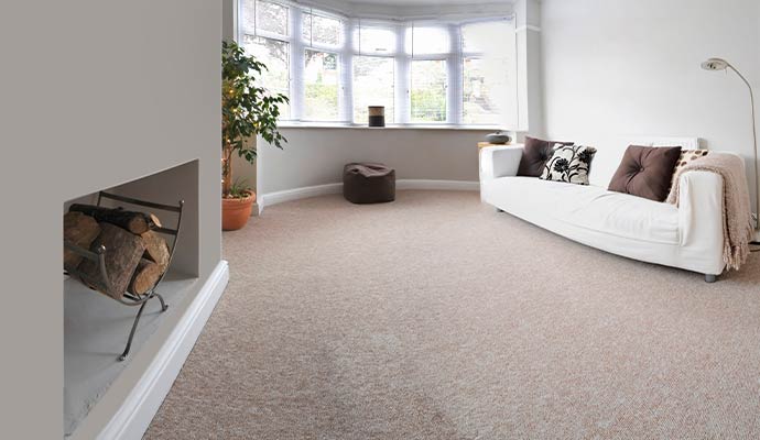 Clean carpet on living room
