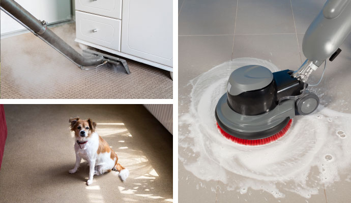 Collage of carpet and floor cleaning services