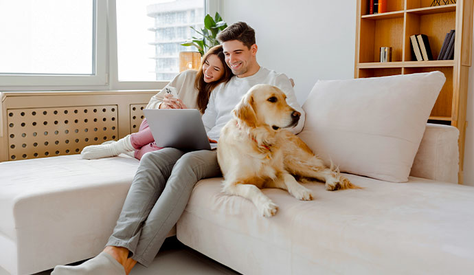Couple and their golden retriever dog relaxing on a living room sofa