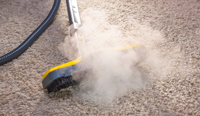 Hot water steam cleaning service