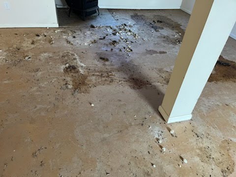 Residential Water Damage