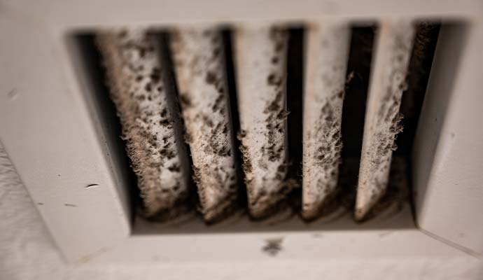 Mold inside HVAC system
