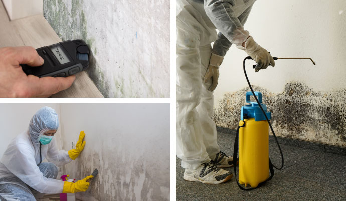 Mold testing and remediation