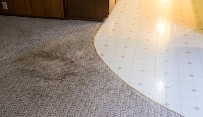 Moldy carpet