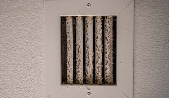 Moldy HVAC air vent