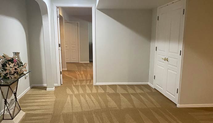 A clean and vacuumed residential basement carpet showing professional grooming lines for odor and stain removal