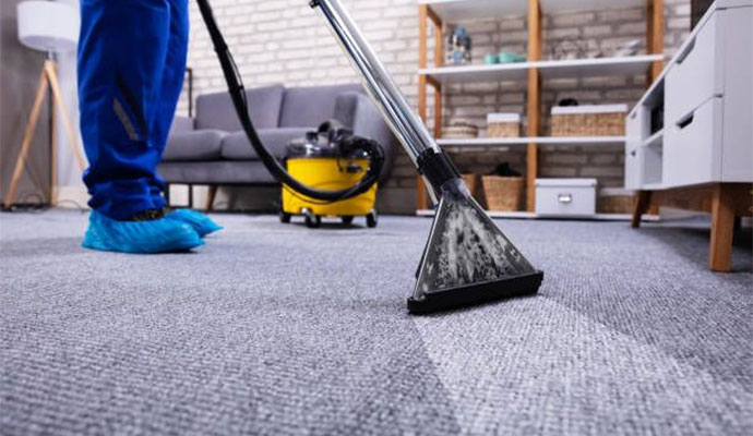Professional carpet cleaning service