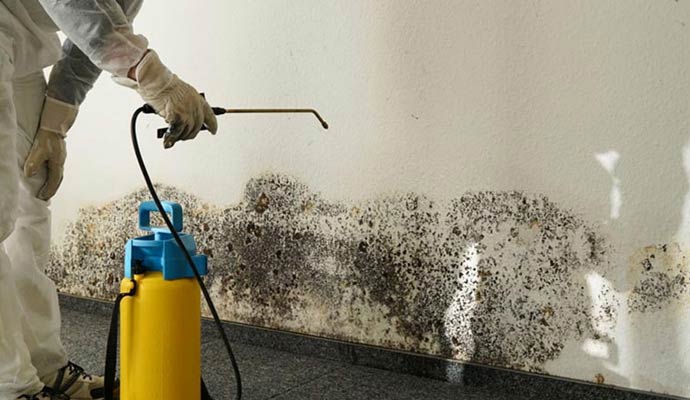 Specialist in protective gear spraying a chemical treatment on mold infested wall