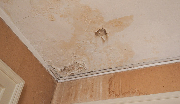 Ceiling and wall corner with severe water damage