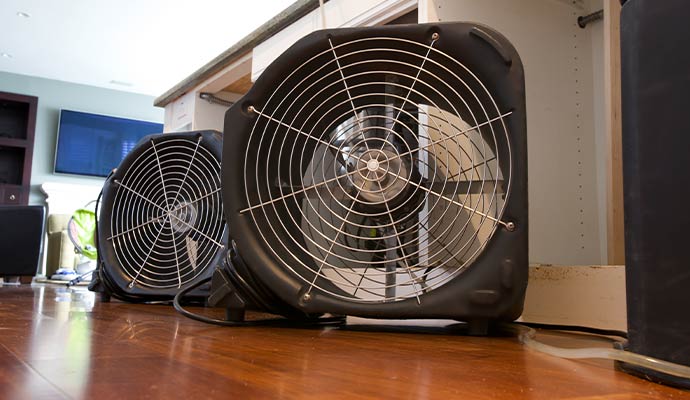 Professional structural drying fans