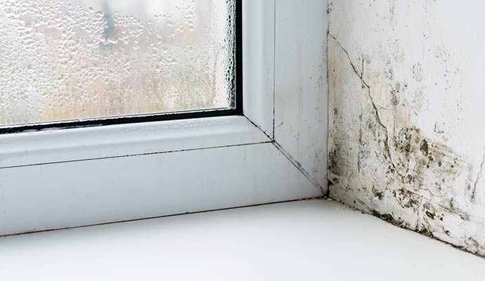 Condensation on a window pane with black mold spreading on the adjacent wall